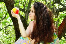 Forest Fairy / ***