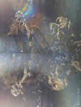 irisierenden Glanz / ***