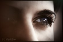 My work / -/-