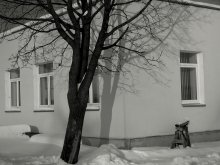Shadow / ***