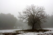 Sorrow / ***
