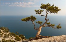 Over the sea / ***