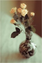 Sahne / ***