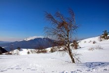Lost in the mountains / ***