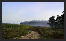 wie Shishkin / **********