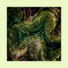 Texture of the underwater world / ***
