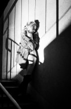Shadows and Lines / ***