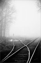 [ Always have a choice in the fog days ] / ***