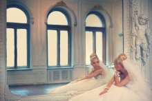 Wedding / Wedding