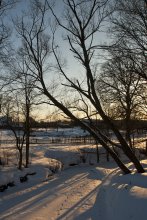 Winterabend / \\\\\\\\\\\