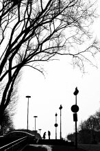 Dialogue / ***
