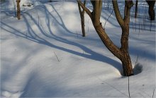 Fässer und THE SHADOW OF ... / ***