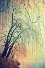 [ TREE`z ] / ***