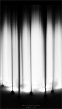[ Petroleum ] / ***