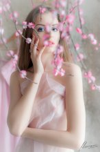 Doll / ***