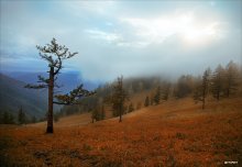 Valley / ***