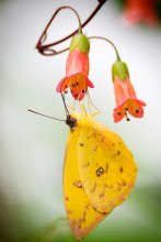 delicate balance / ***