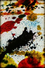 Riot of colors / ***