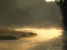 Awakening / ***