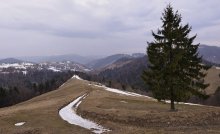 Karpaten-Frühling / ******