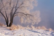 Memories of Winter ... (Serie) ... / [img]http://img-fotki.yandex.ru/get/6205/157176521.0/0_7d8dd_93282c4c_orig.jpg[/img]
[img]http://img-fotki.yandex.ru/get/6104/157176521.0/0_7d8da_1920f819_orig.jpg[/img]
[img]http://img-fotki.yandex.ru/get/6105/157176521.0/0_7d8db_8a25452_orig.jpg[/img]
[img]http://img-fotki.yandex.ru/get/6105/157176521.0/0_7d8dc_37595639_orig.jpg[/img]
[img]http://img-fotki.yandex.ru/get/6204/157176521.0/0_7d8d9_e0257c6c_orig.jpg[/img]
