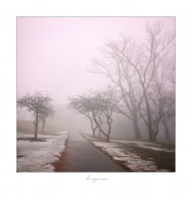 Pink Dreams / *******