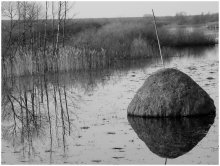 flood / ***