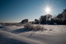 "Winter Day" / ***