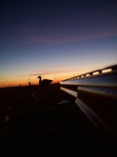 Dawn / ***