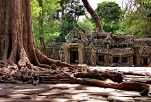 The Lost World / ***