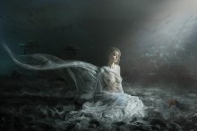 Perle / ***