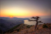 Towards the sun / ***