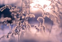winter / ...