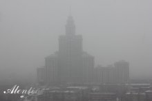 Nebel / ***