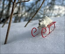 The last (this year), check ... / ***
