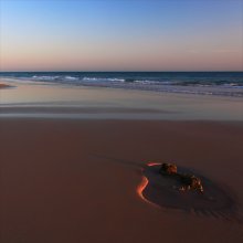 The unknown track / ***