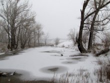 Winter Theme / ***