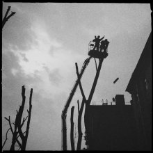  / http://cvetkoff.by