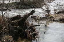 Spring flooding / ***