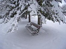 Bench / ***