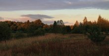 Farben des Herbstes Morgen / ________________________*