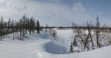 April on the Taimyr Peninsula / ***