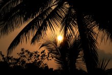 in Goa / ***