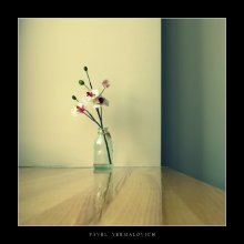 Westin flower / *****