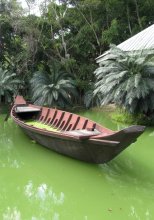 Boat Thai Garden / ***