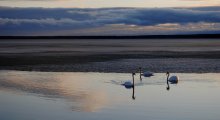 trio / ***