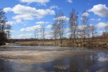 "Spring" / ***