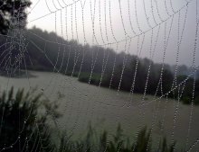 amazing magic of water / ***********