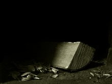 Pinocchio / ***