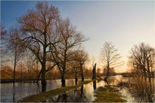 Later in the afternoon / ***